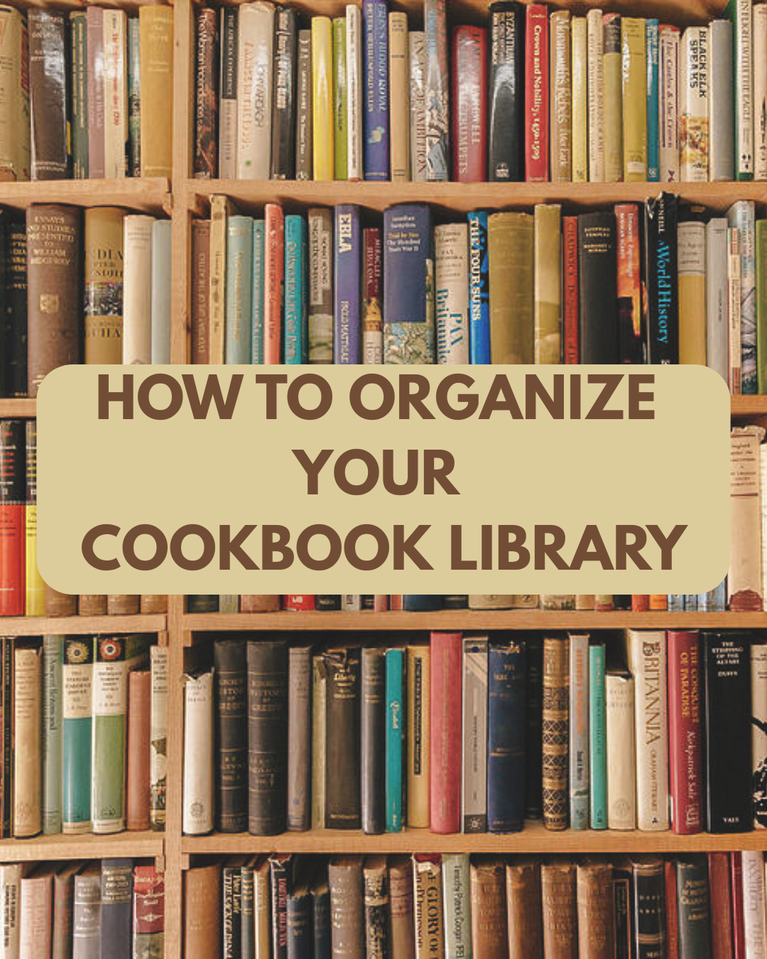 How to Organize Your Cookbook Library Like a Pro - Spine and Spoon